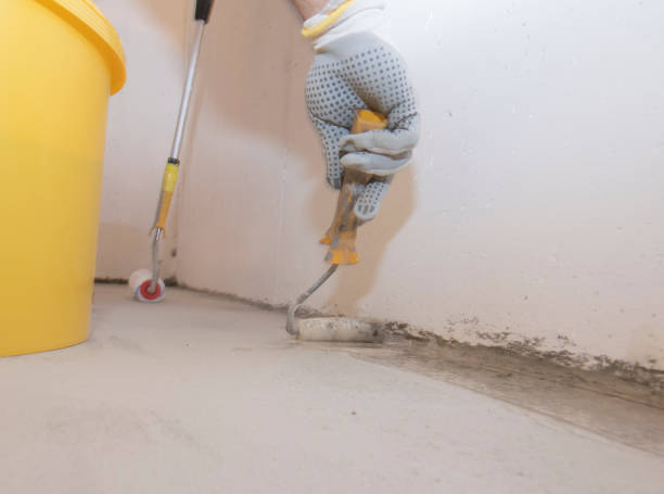 Best Pest Control for Multi-Family Homes  in Stickney, IL